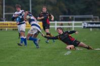 Tynedale v Bees