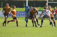 Stourbridge v Bees