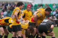 Esher v Bees (po)