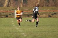 Otley v Bees