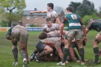 Ealing v Bees