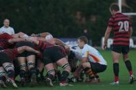 Blackheath v Bees