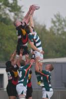 Bees v Ealing