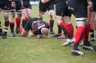 Caldy v Bees