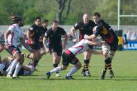 Bees v Moseley (po)