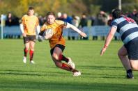 Dudley K v Bees