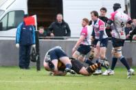 Bees v Pontypridd