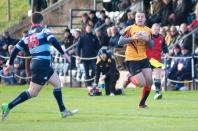 Dudley K v Bees