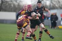 Bees v Sedgley Park