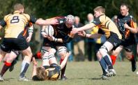 Bees v Luctonians