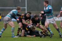 Bees v Worcester