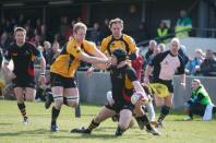 Bees v Esher (po)