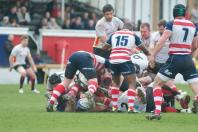 Rosslyn Park v Bees