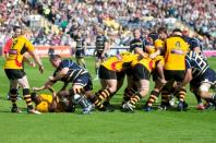 Worcester v Bees