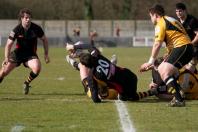 Bees v Esher (po)