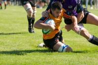 Leicester Lions v Bees