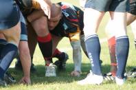 Bees v Dudley K