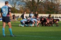 Birmingham & Solihull v Bedford Blues