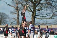 Bees v Tynedale