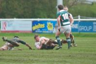 Ealing v Bees