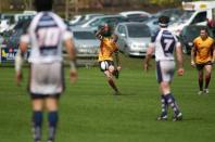 Stourbridge v Bees