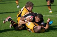 Bees v Esher