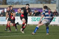 Bees v Tynedale