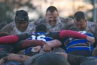 Cinderford v Bees