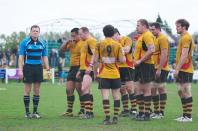 Esher v Bees (po)