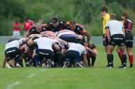 Bees v Dings Crusaders