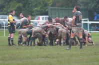 Ealing v Bees