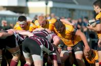 Sheffield Tigers v Bees