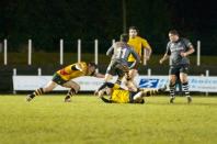 Bees v Pontypridd