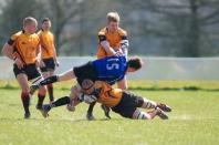 Bees v Otley
