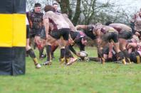 Bees v Sheffield