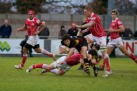 Bees v London Welsh