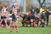 Bees v Rosslyn Park