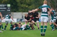 Bees v Ealing