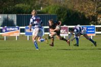 Tynedale v Bees