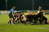 Bees v cornish pirates