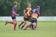 Bees v Westoe