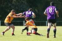 Leicester Lions v Bees