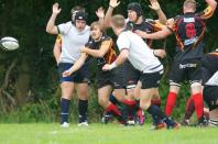 Bees v Dings Crusaders