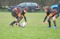 Luctonians v Bees (U12)