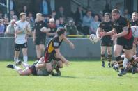 Bees v Moseley (po)