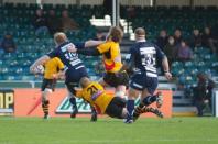 Bristol v Bees