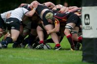 Bees v Dings Crusaders