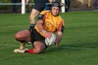 Dudley K v Bees