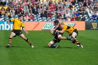 Worcester v Bees