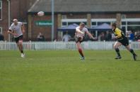 Rosslyn Park v Bees